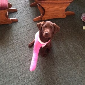 Meet your Posher, Debbie